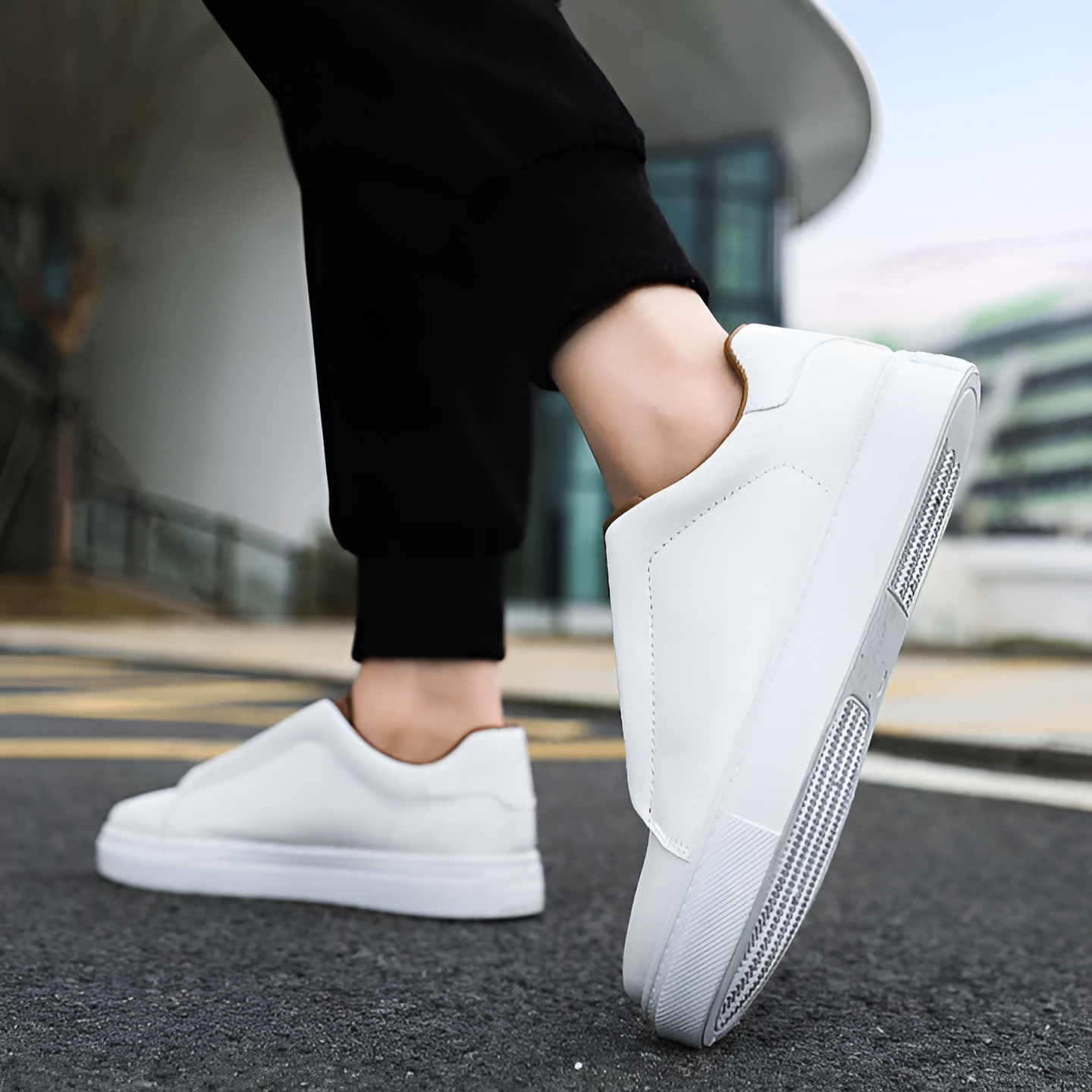 Bernardo | Chic Elegance Sneakers